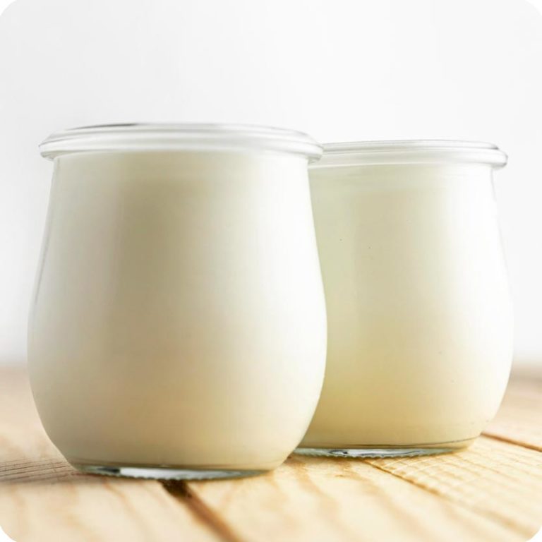 iogurt_yogur_lactic_lacteo_llet_leche